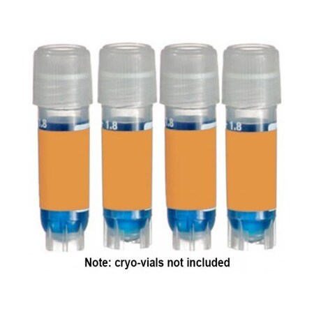 Diversified Biotech Direct Thermal Cryo-Tags, 1.50 x 0.75", Orange, 750/rl 249402O